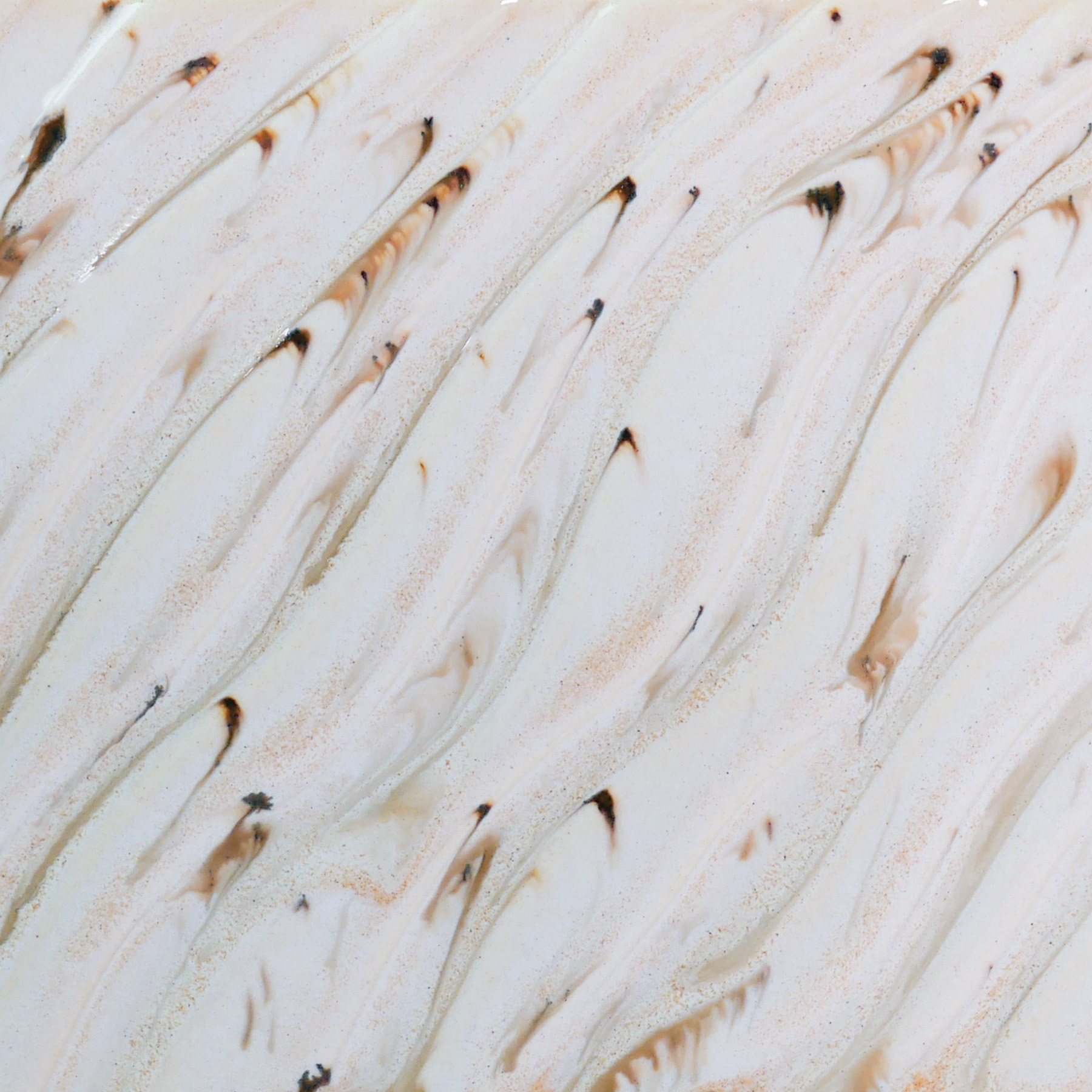 River Birch