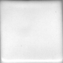 MBG182 Coyote Satin White Enduro-Color Liner Glaze