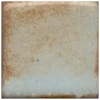 MBG067 Coyote Light Blue Shino Glaze