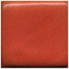 MBG079 Coyote Coral Satin Glaze