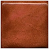 MBG087 Coyote Cedar Shino Glaze