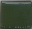MBUG004 Coyote Cactus Green Cone 6 Underglaze