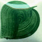 EZ024 Royal Blue Green