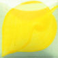 EZ026 Yellow-Orange
