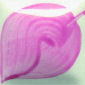 EZ030 Rose