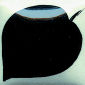 EZ037 Black