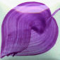 EZ050 Plum Purple