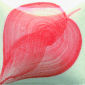 EZ057 Coral Red