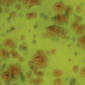 CG717 Pistachio Green
