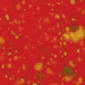 CG756 Firecracker