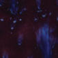 CG785 Royal Fantasy