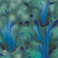 CG962 Blue Azure