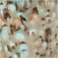 CG965 Mocha Marble