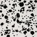 CG977 Ink Spot