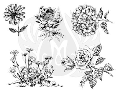 Flowers 3-XL Designs