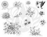 Flowers 2 Designs